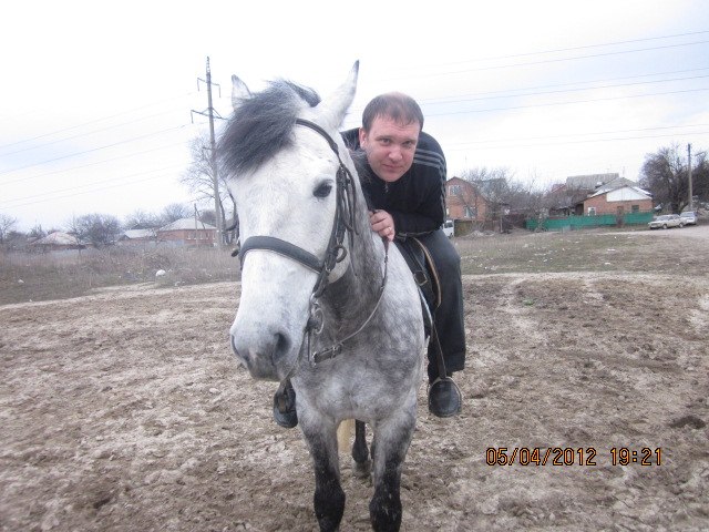 Елизавета Симоненко | Батайск