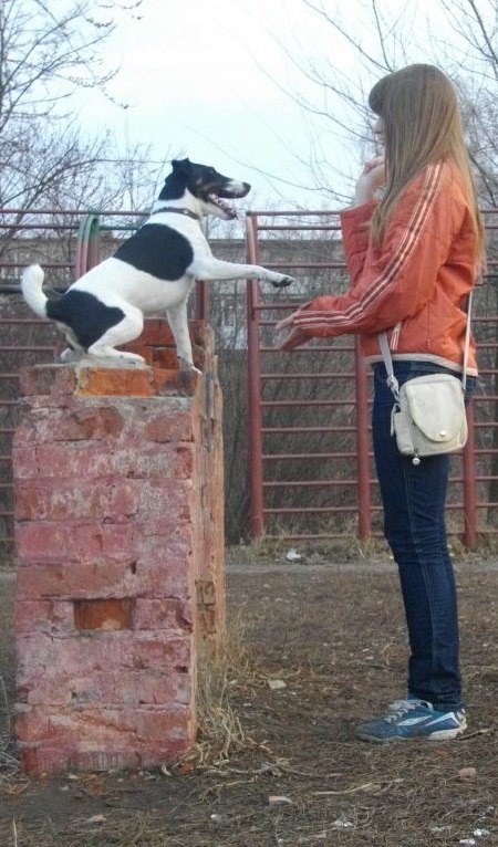 Алиса Болдырь | Харьков