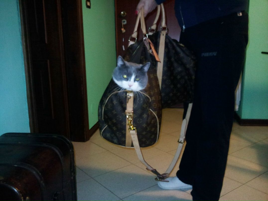 Жанна Синько | Черновцы