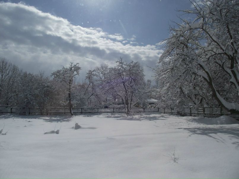 Дарья Бедило | Апшеронск