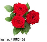 №39, Адриан Ким, Санкт-Петербург №39, Адриан Ким, Санкт-Петербург