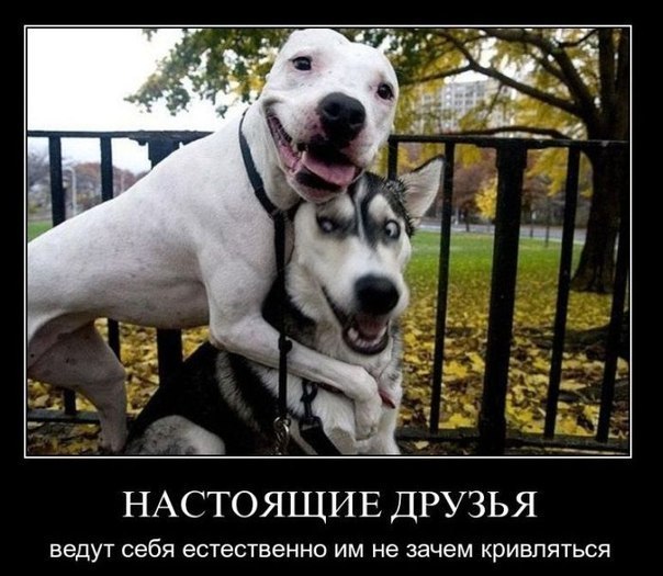 Ирина Солнцева | 