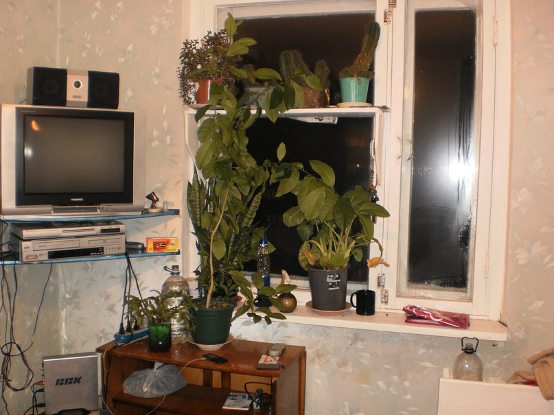 Илья Фролов | Новосибирск