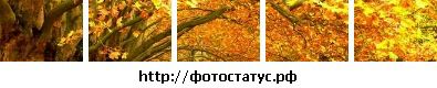Фотография Лили Данг