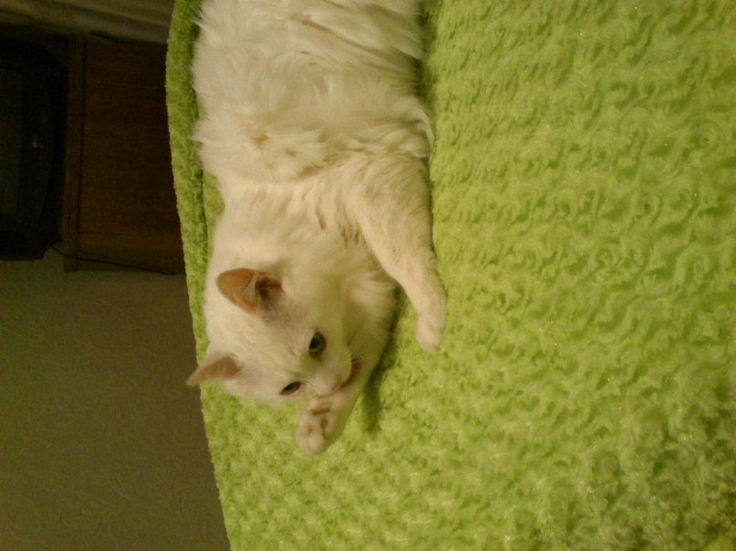 Лидия Смокат | Великие Луки