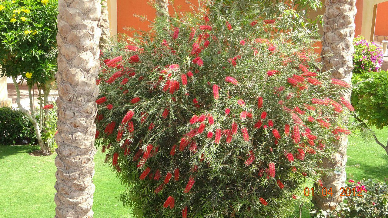 Алефтина Сирук | Санкт-Петербург