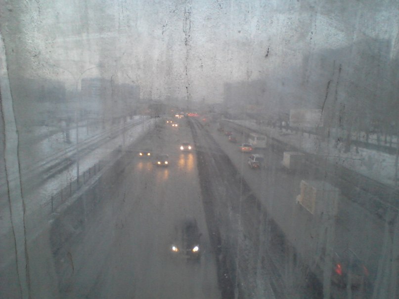 Александра Муравьева [Волчица] | 