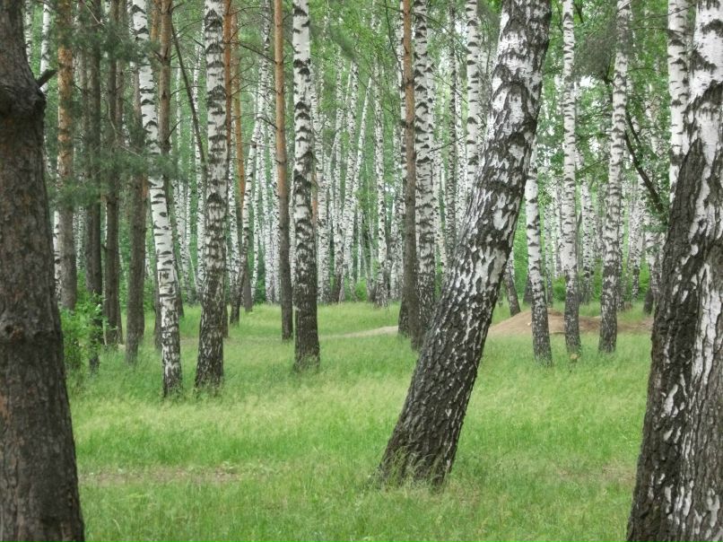 Сергей Паршин ZVEZDEC | Томилино