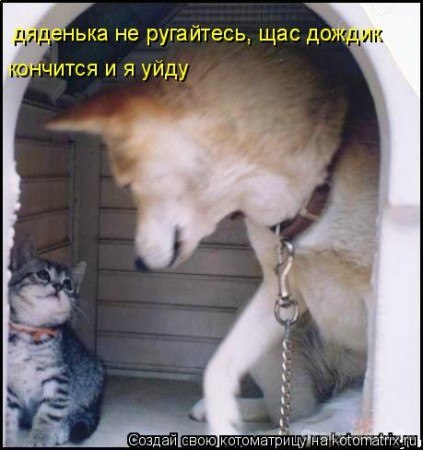 Александр Якубов | Тюмень