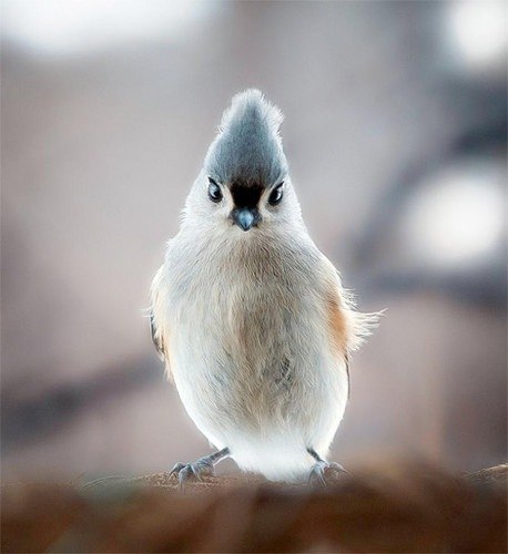 Ксения Журилова | Минск