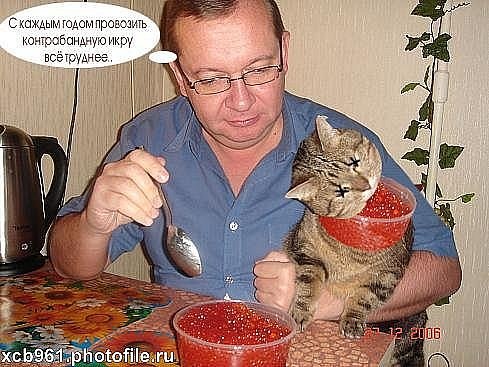 Екатерина Кислова | 