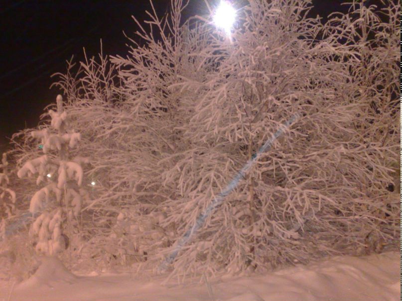 Евгений Ильенко | Муравленко