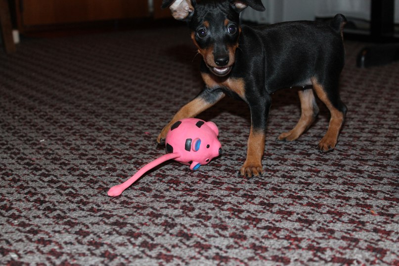 Ivan Брэйлян | Санкт-Петербург