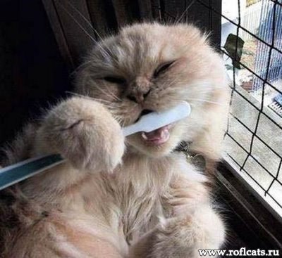 Арина Заднепровская | Тимашевск