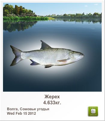 Александр Силин | Великие Луки