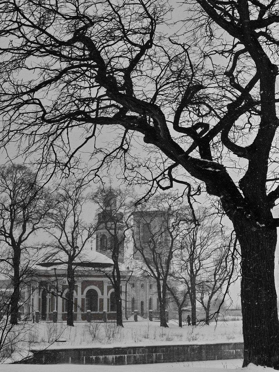 Александр Карасев Сергеевич | Санкт-Петербург