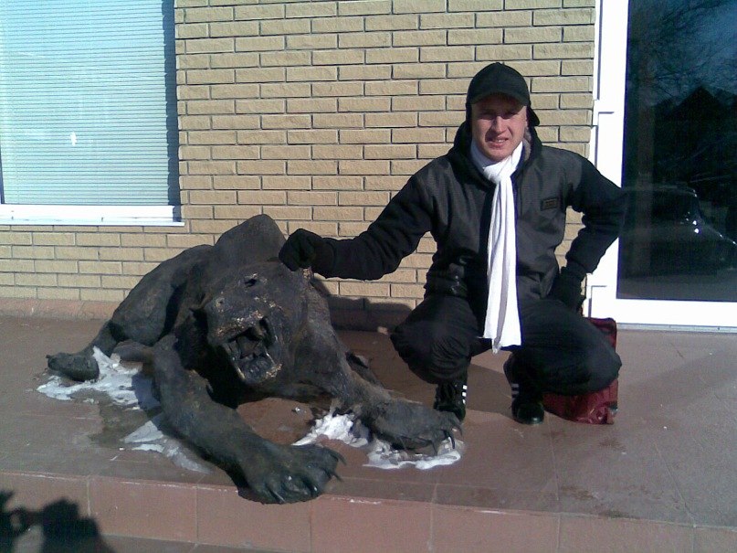 Геннадий Кожухов | Пологи