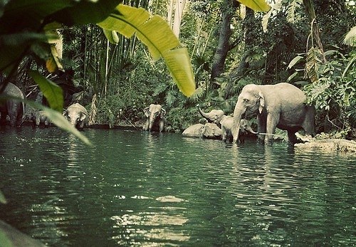 Мария Бесова | 