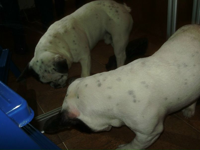 Марк Смирнов КЭП | Красноярск