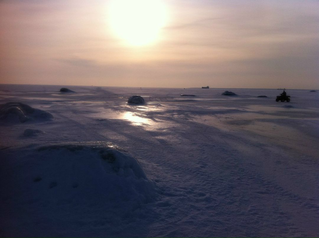 Алексей Резников | Санкт-Петербург
