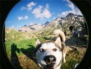 Фотография Наташа Олесь