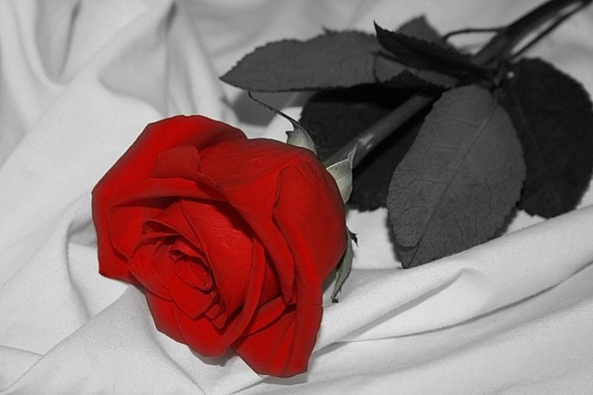 Татьяна Кудрова | Харьков