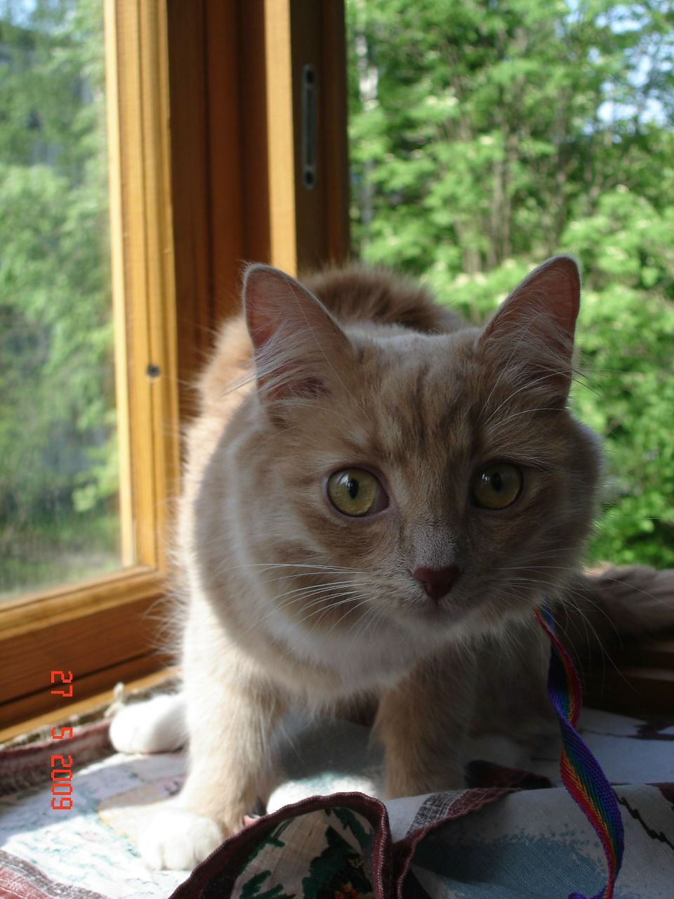 Мария Чагадар | Санкт-Петербург