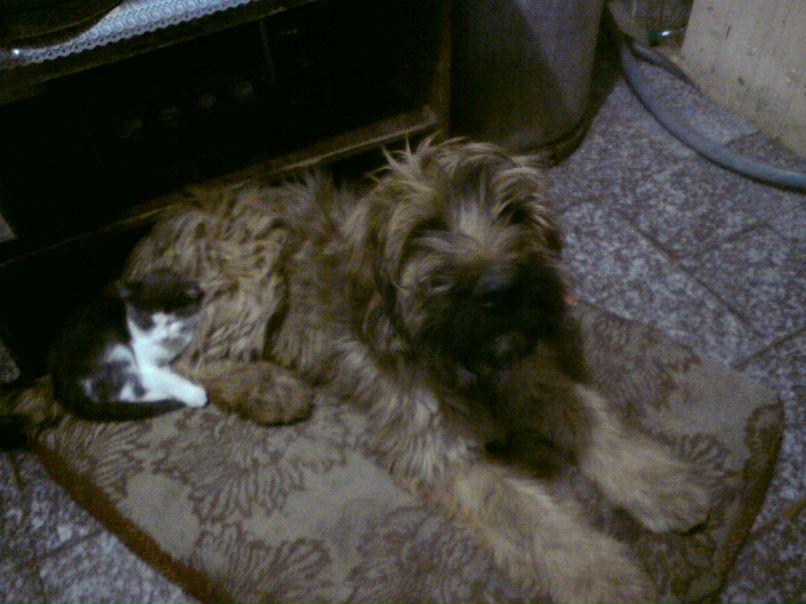 Антонина Грибенюк Петровна | Николаев