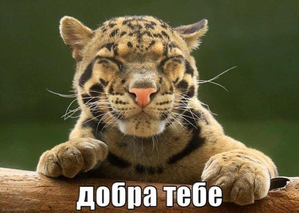 Иван Кузнецов | Подольск