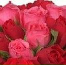 Евгения Щёголева | Москва