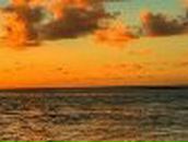 Анюта Коцеруба | Кыштым