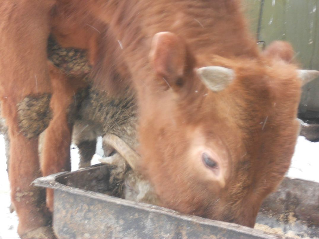 Екатерина Митрошина Олеговна | Уфа