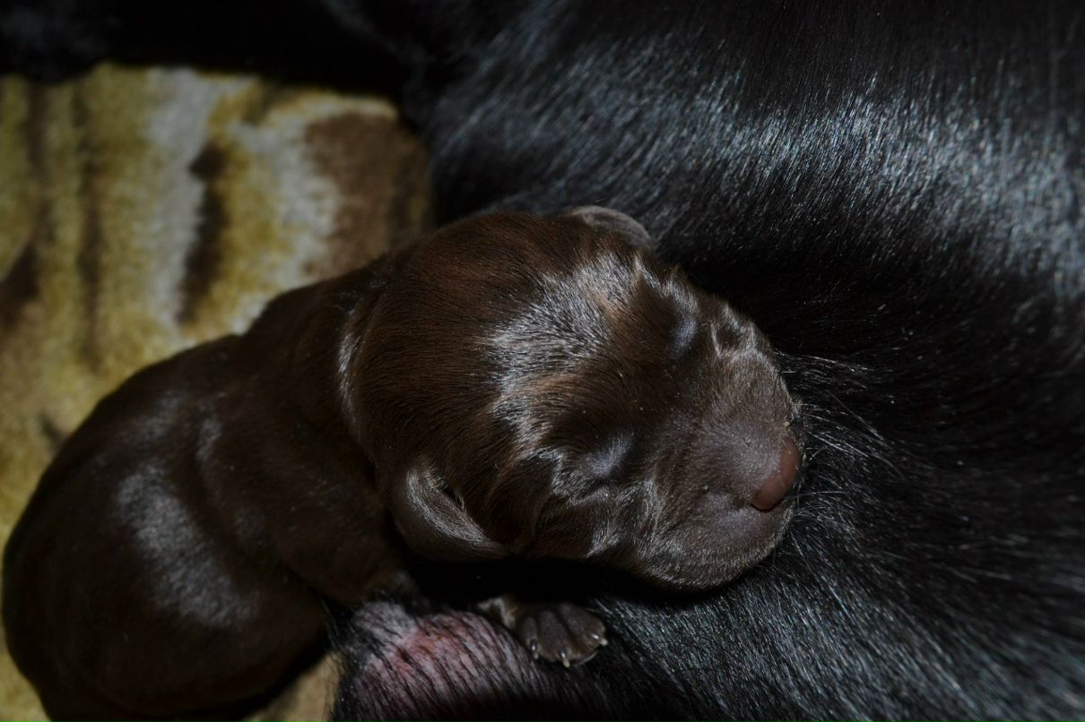 Екатерина Пируева | 