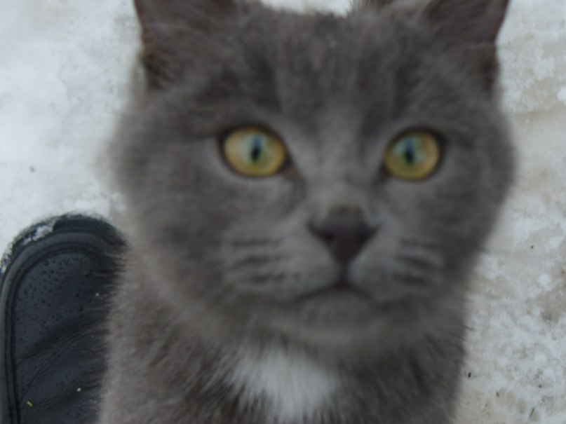 Анна Лапина Сергеевна | Куса