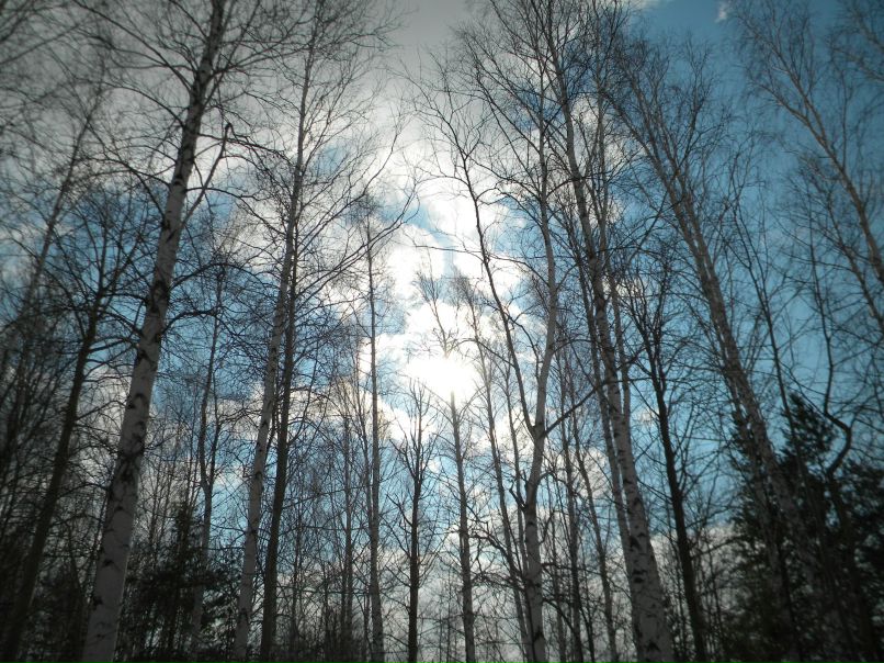 Елена Мочалова | 