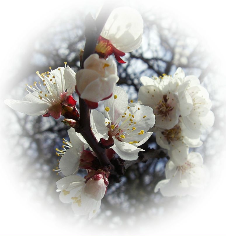 Анна Зайцева | 