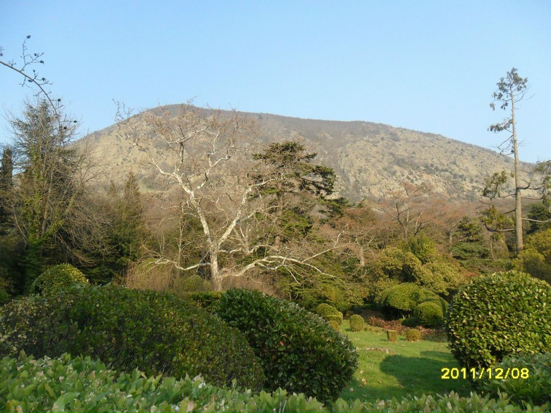 Ромко Креховецький | Креховичи