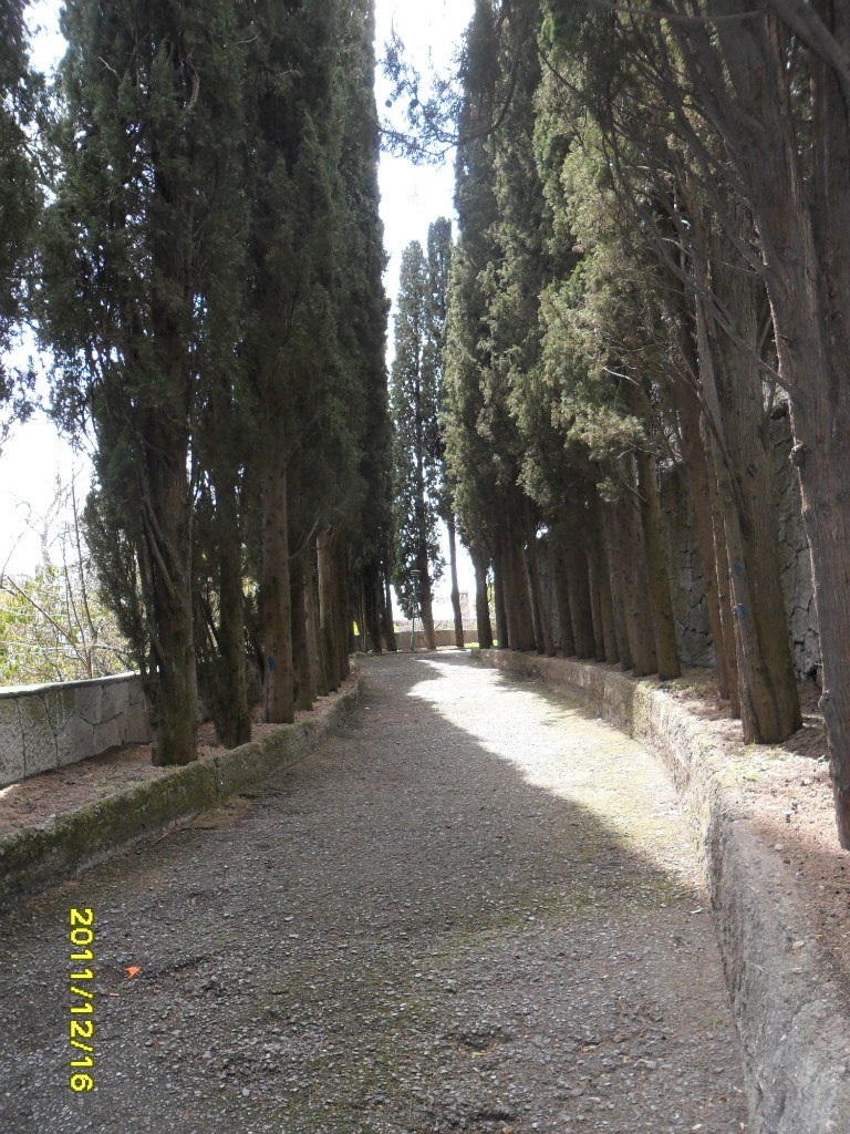 Ромко Креховецький | Креховичи