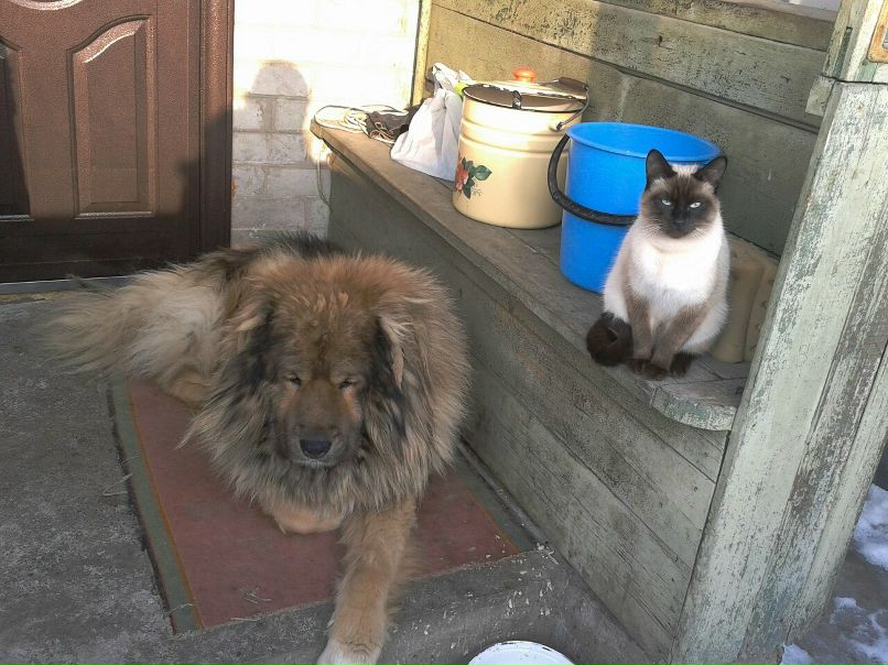 Рома Малецкий | Киев