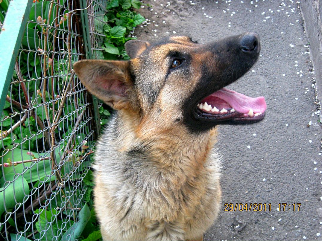 Сергей Ташкинов | Первомайск