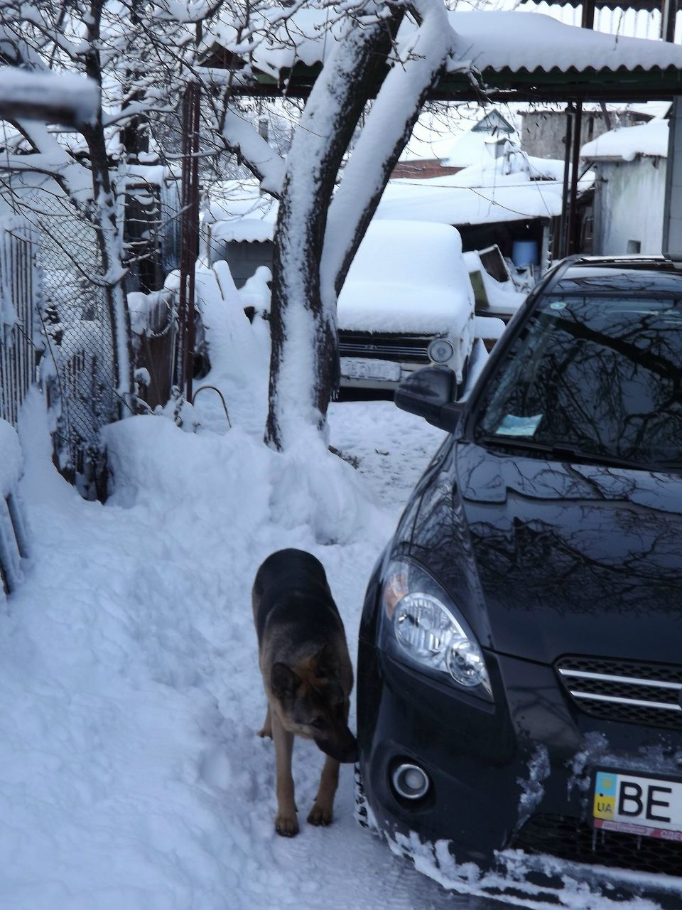 Сергей Ташкинов | Первомайск