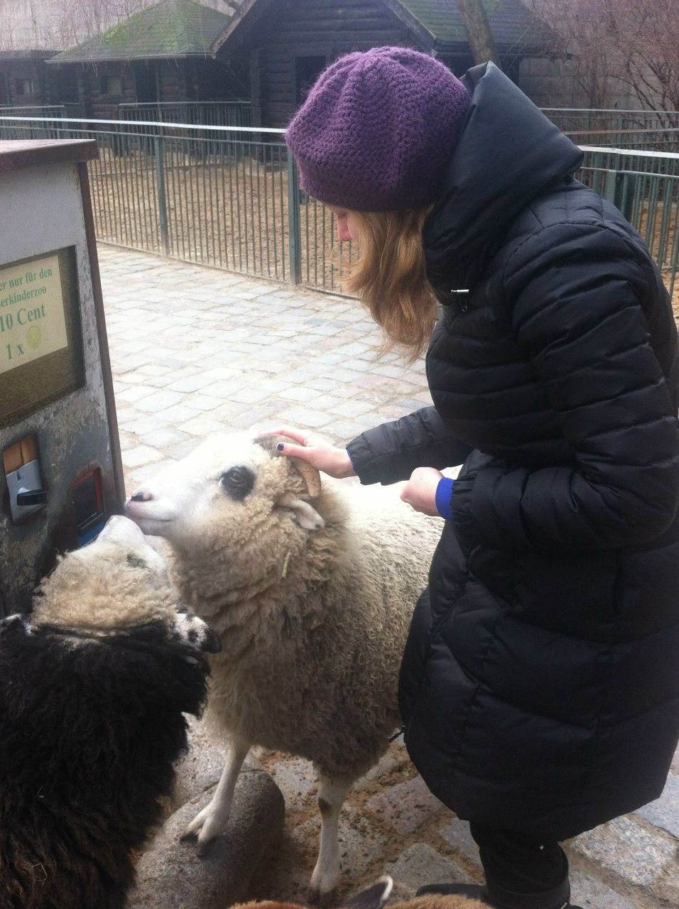 Дария Волынская | 