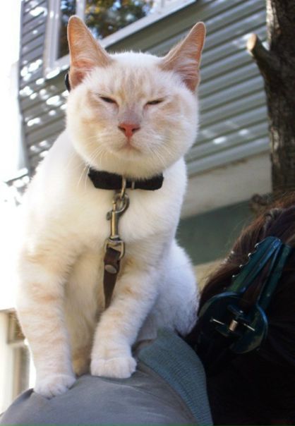 №136, Татьяна Беляева, Череповец №136, Татьяна Беляева, Череповец