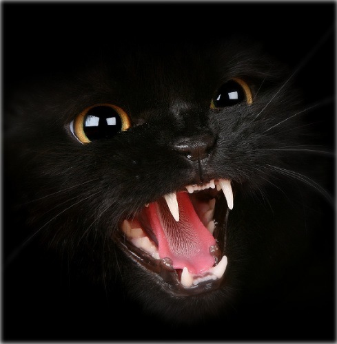 №24, Кирилл Фролов, Москва №24, Кирилл Фролов, Москва