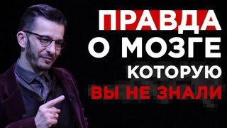 Правда о мозге для интеллектуального меньшинства
