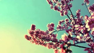 Our Love Remains