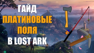 LOST ARK ГАЙД - Платиновые поля. Что это и зачем.