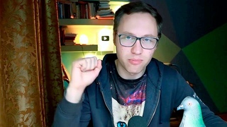 ПЛАТОШКИНА ОБЯЗАНЫ ОСВОБОДИТЬ! ОТМЕНА НЕЗАКОННОГО РЕШЕНИЯ БАСМАННОГО СУДА.