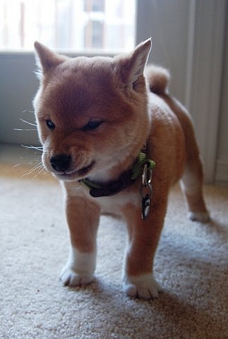 №13, Павел Щаднев, 36 лет, Самара №13, Павел Щаднев, 36 лет, Самара