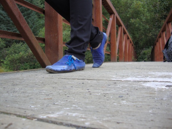 №37, Анна Петренко, Днепр (Днепропетровск) №37, Анна Петренко, Днепр (Днепропетровск)